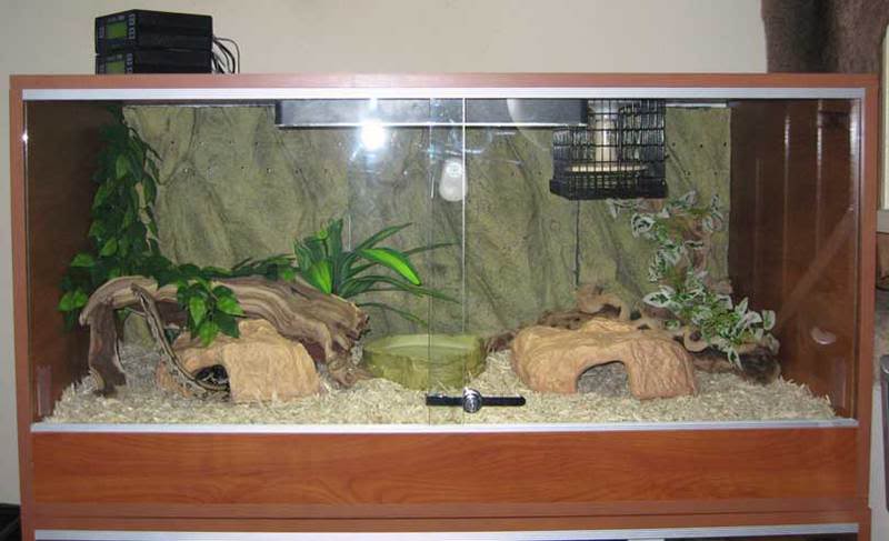 best enclosure for boa constrictor